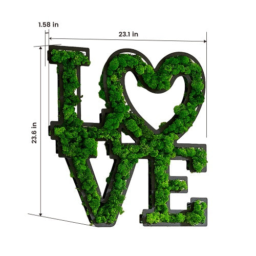 "LOVE" Letter Art Moss Wall Decoration - Eco-Friendly, Low Maintenance, Wrought Iron Frame - Romantic Green Home Decor with Heart Design